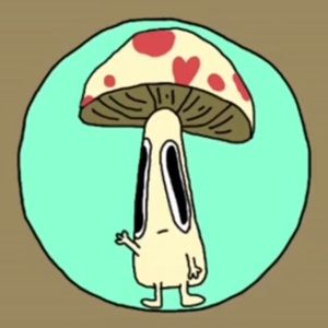 Meet your Posher, Emmet